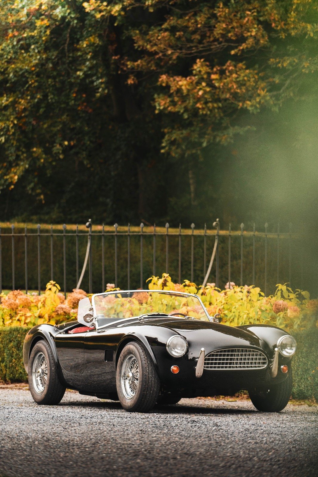 Shelby Cobra noire, plan rapproché en contre-jour